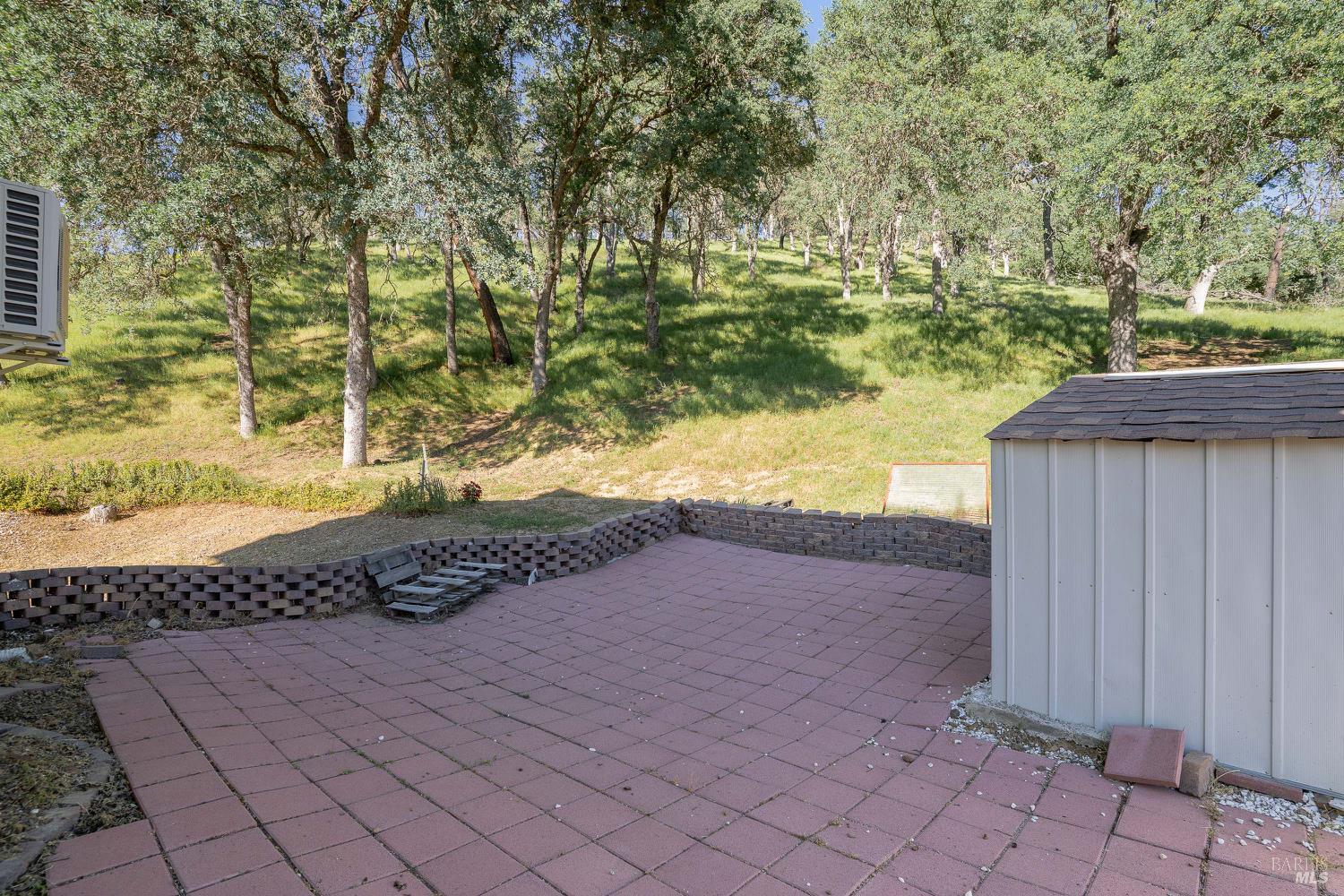 1486 Steele Canyon Road Napa, CA 94558 - Photo 33 of 46 a view of a yard with an trees