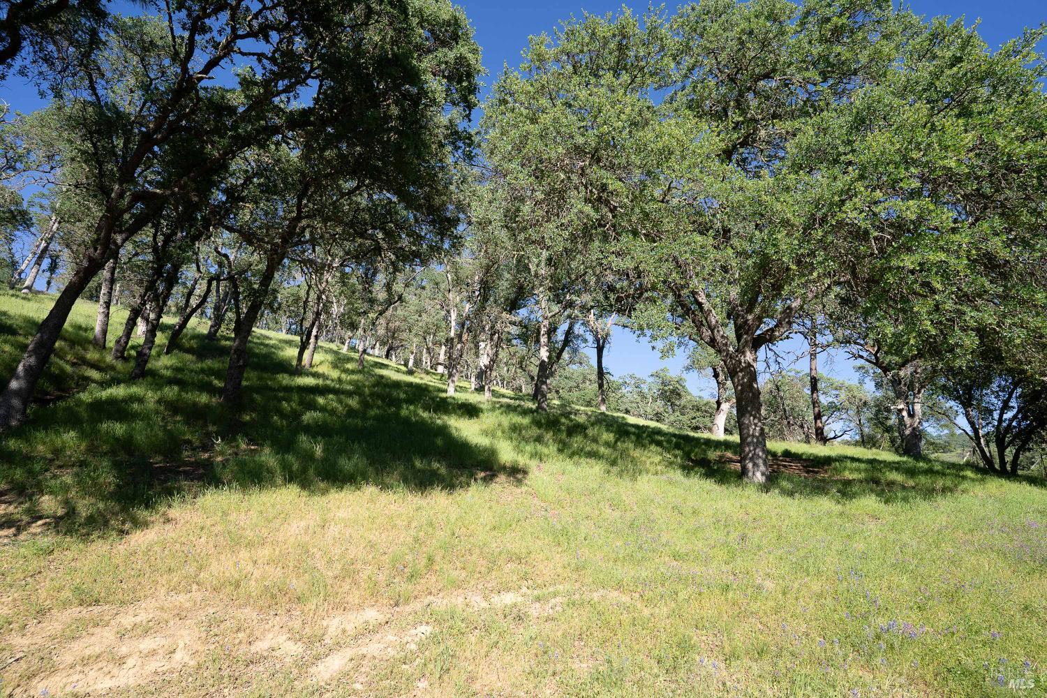 1486 Steele Canyon Road Napa, CA 94558 - Photo 36 of 46 a view of outdoor space