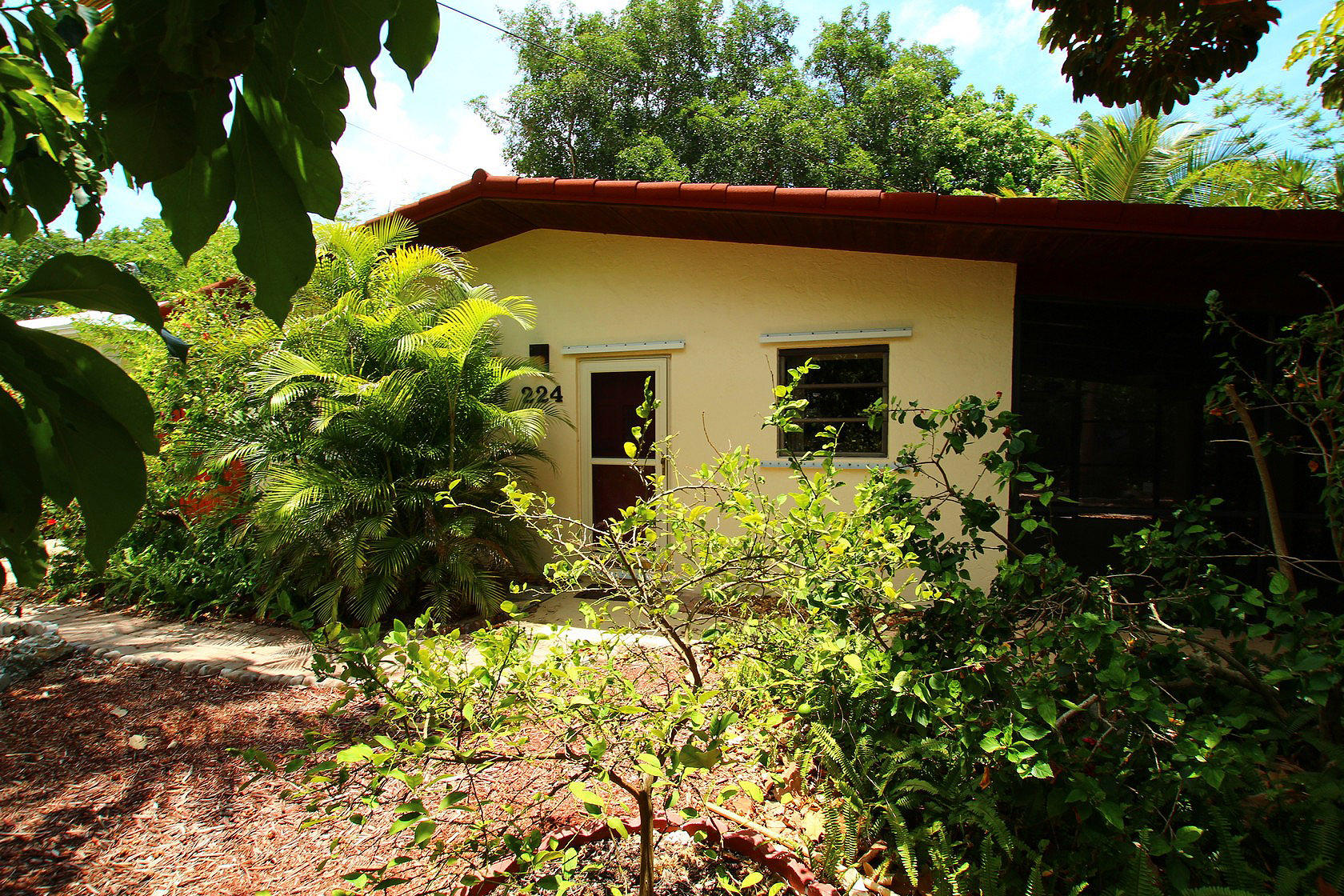 FRONT VIEW 2