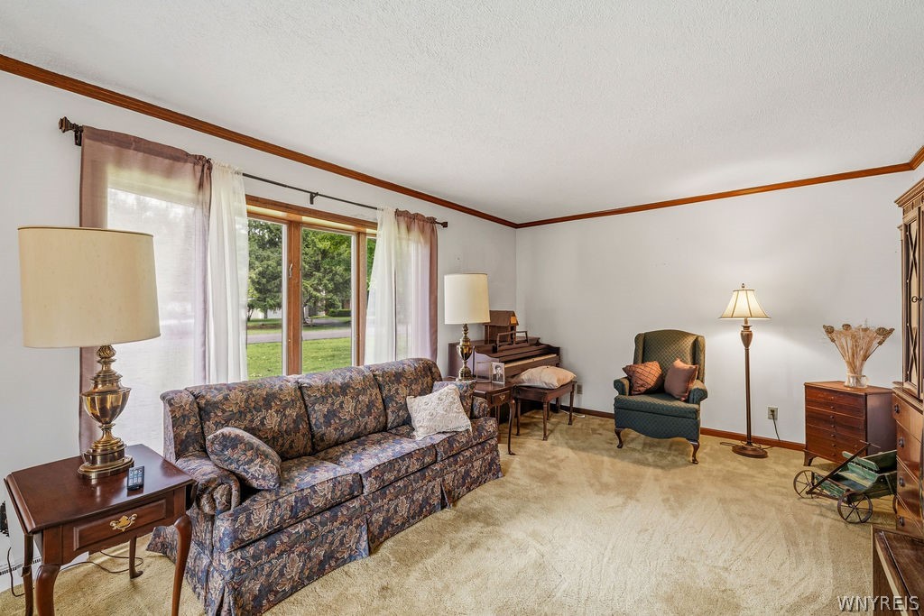 4600 Sawmill Road Clarence, NY 14031 - Photo 4 of 34
