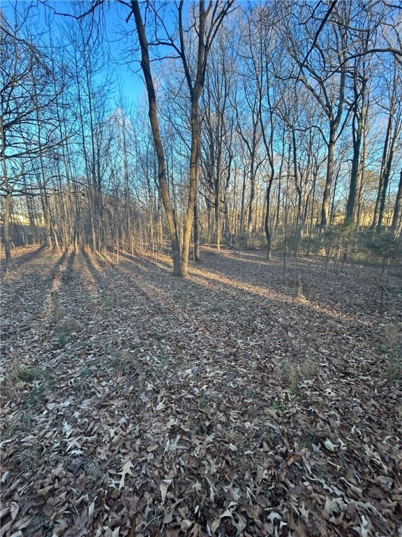 405 Wyatt Road, Unit PARCEL E Piedmont, SC 29673 - Photo 10 of 38 Gallery Image 10