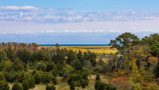 a view of a lake with a houses