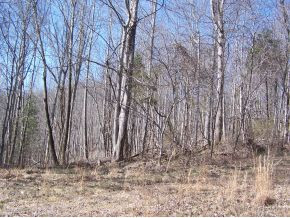 Lot 12 Imperial Ridge, Unit 12 Butler, TN 37640 - Photo 1 of 1 Photo 1
