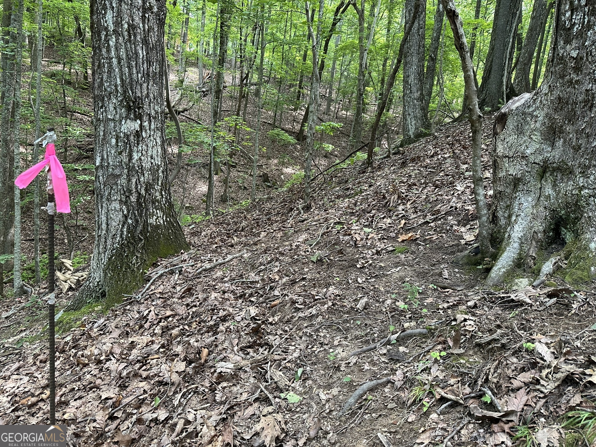 Lot 13 Picklesimer Mountain Road Morganton, GA 30560 - Photo 1 of 1 Gallery Image 1