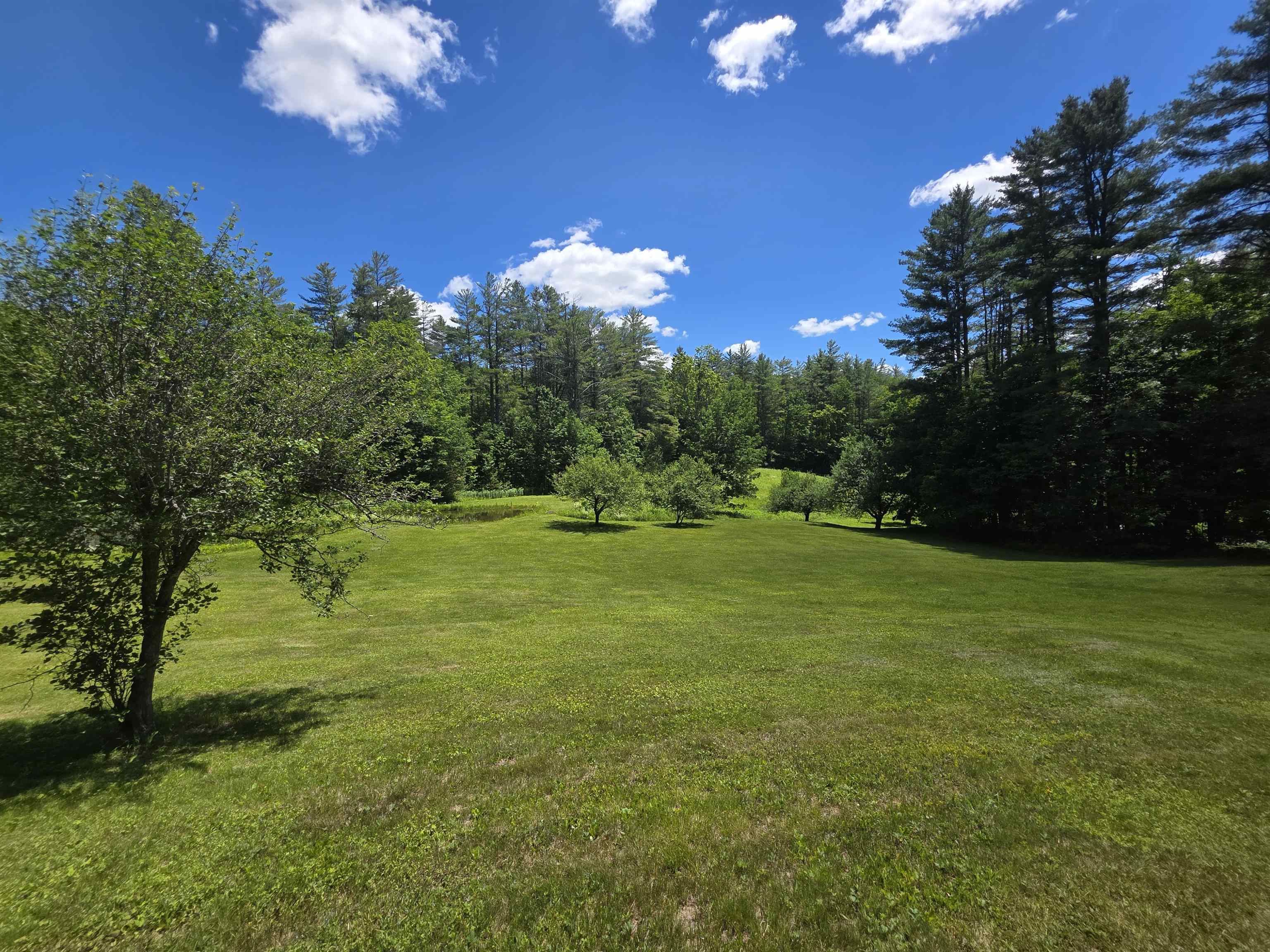 596 4 Chimneys Road Grafton, VT 05146 - Photo 41 of 50