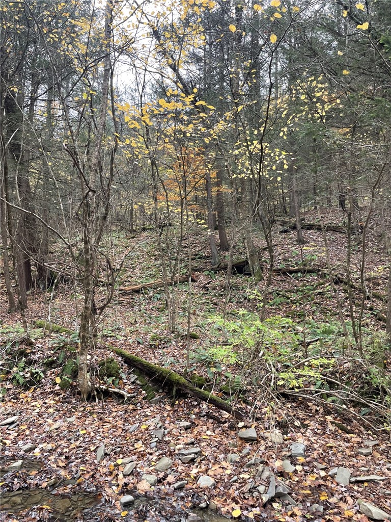 0 Parker Road Campbell, NY 14821 - Photo 4 of 9