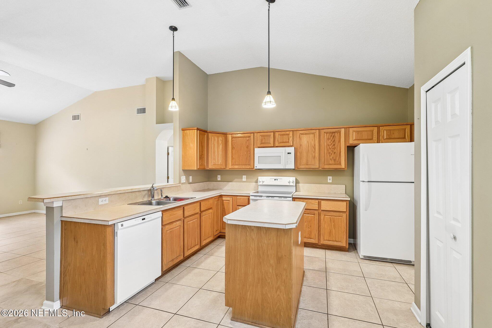 1229 Cactus Cut Road Middleburg, FL 32068 - Photo 92 of 116 16-web-or-mls-Cactus Cut Rd-S0708-016