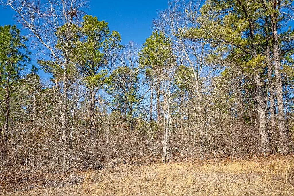 0 East Frontage Road Aiken, SC 29805 - Photo 4 of 20