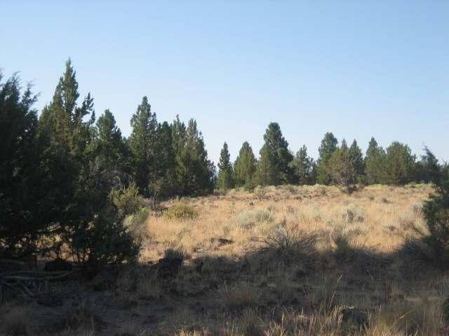 20 Oregon Pines Chiloquin, OR 97639 - Photo 3 of 3 Additional Photo