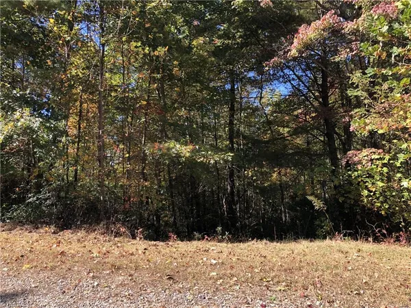 $29,500 | 2 Majestic Court, Boomer, NC 28606