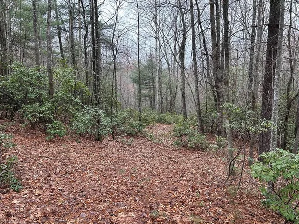 $29,500 | 2 Majestic Court, Boomer, NC 28606