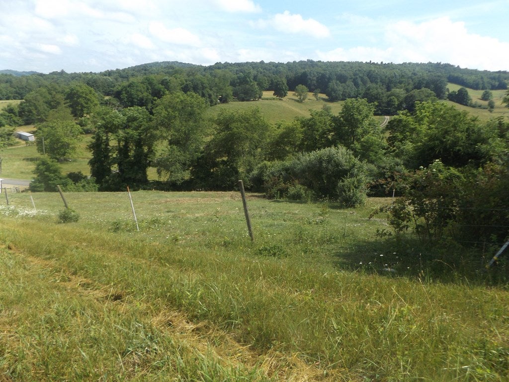 342 Millstone Road Woodlawn, VA 24381 - Photo 32 of 42 Gallery Image 32
