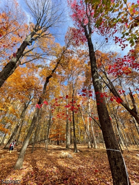 a backyard of a house