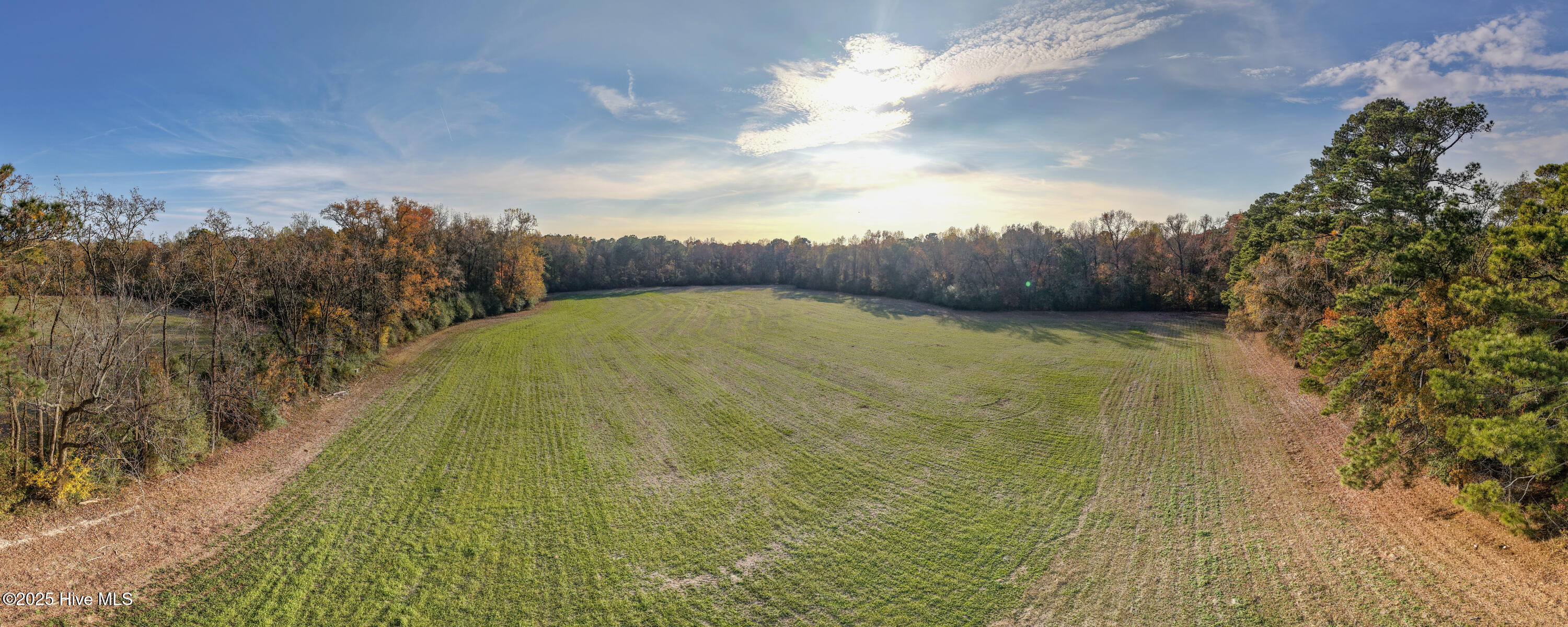 41.5-acres High School Road Teachey, NC 28464 - Photo 24 of 27 24-Pano3