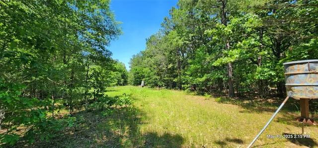 a view of a yard with plants