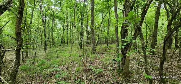 $180,236 | 3233 Clarksville Tx 75426, Clarksville, TX 75426