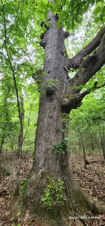 $180,236 | 3233 Clarksville Tx 75426, Clarksville, TX 75426