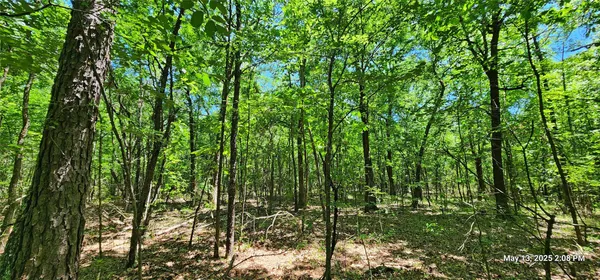 $180,236 | 3233 Clarksville Tx 75426, Clarksville, TX 75426