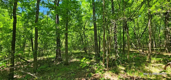 $180,236 | 3233 Clarksville Tx 75426, Clarksville, TX 75426