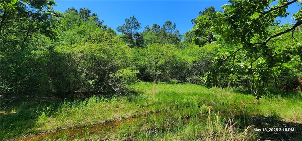 $180,236 | 3233 Clarksville Tx 75426, Clarksville, TX 75426