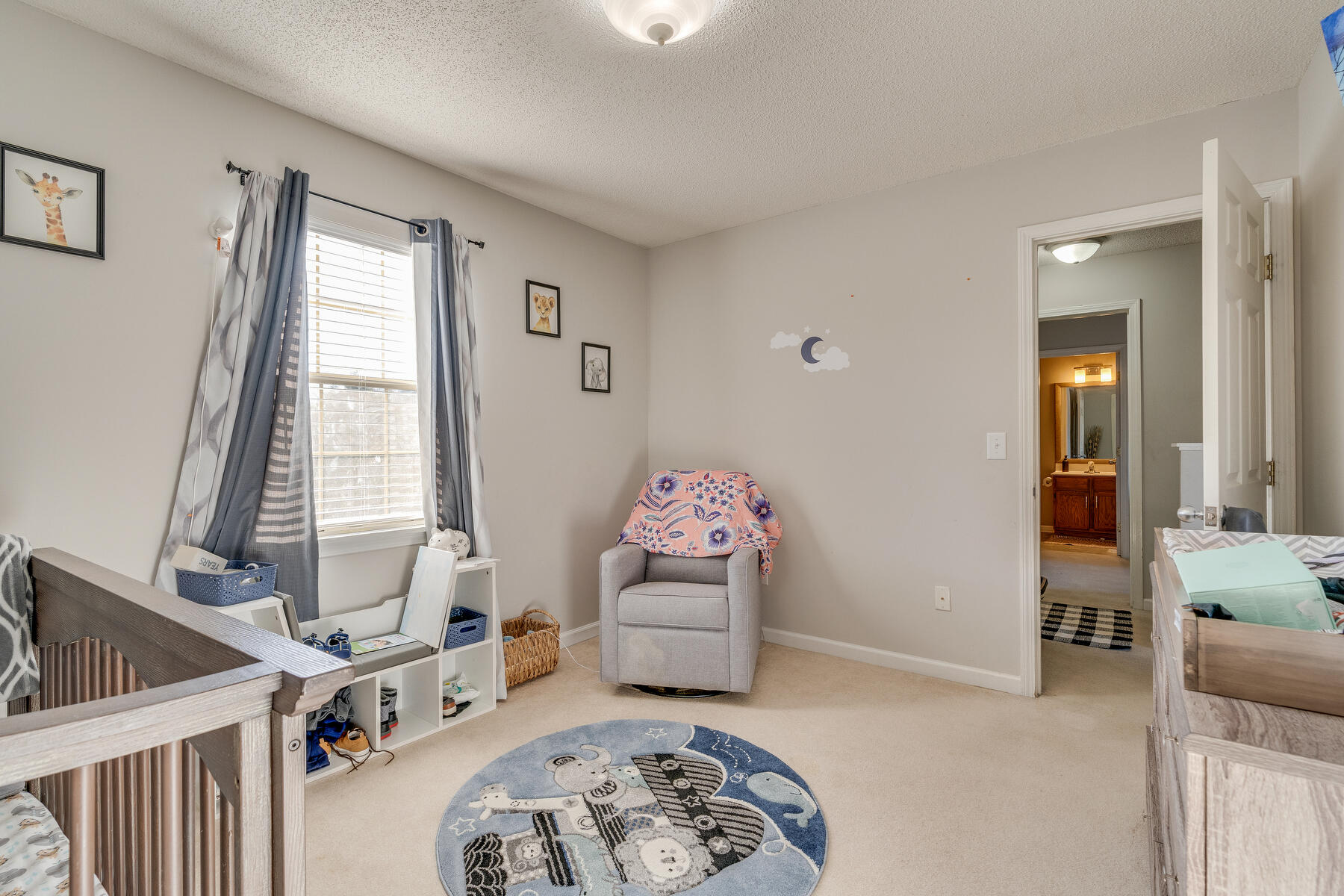 222 Springview Drive Gray, TN 37615 - Photo 23 of 45 023