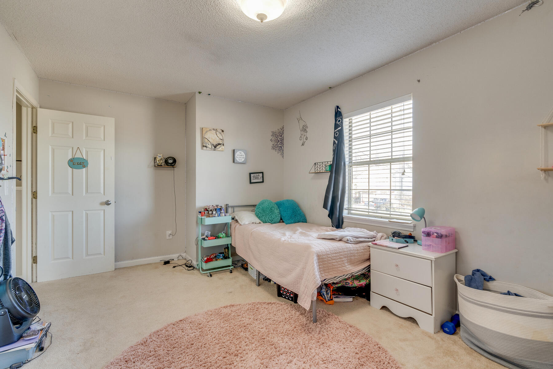 222 Springview Drive Gray, TN 37615 - Photo 25 of 45 025