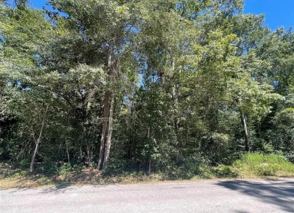 $99,000 | 0 County Road 3669C, Splendora, TX 77372