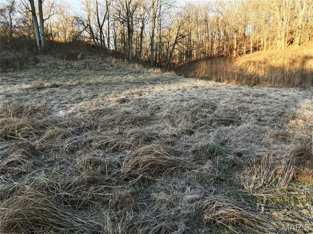 $164,000 | 535 County Road 535, Jackson, MO 63755