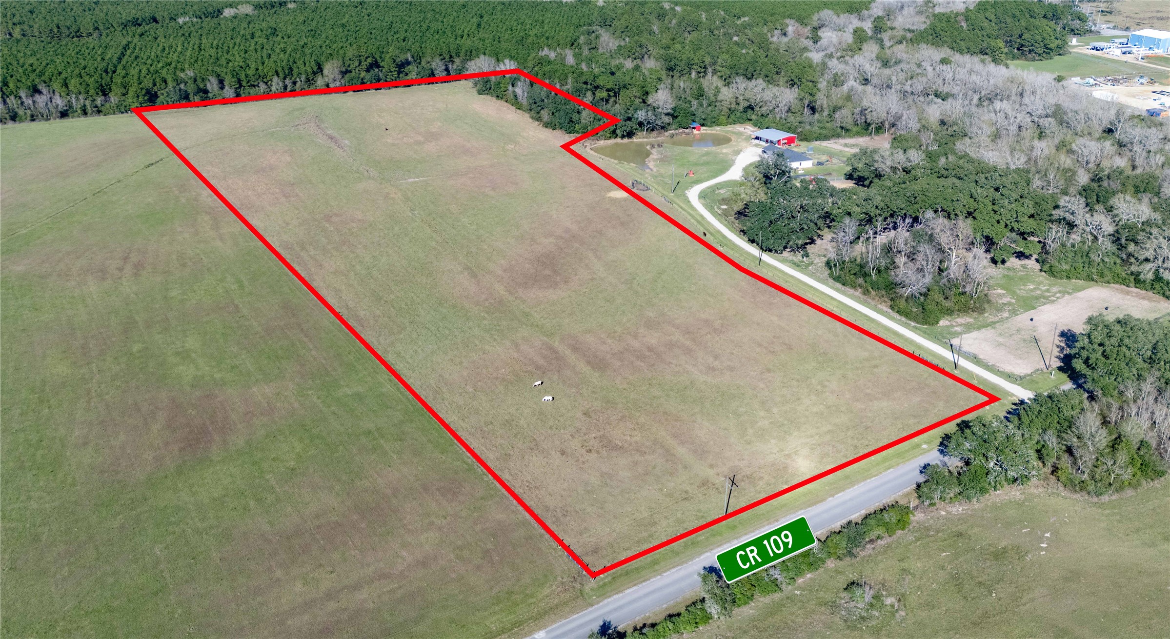 109 County Road 109 Devers, TX 77538 - Photo 6 of 8 a view of swimming pool