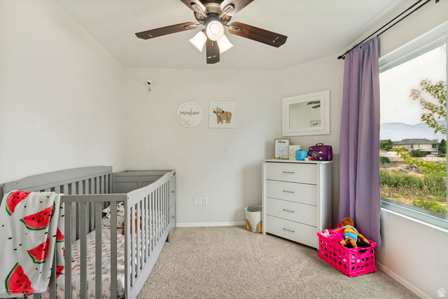 1427 South 1100th Street West Springville, UT 84663 - Photo 29 of 44