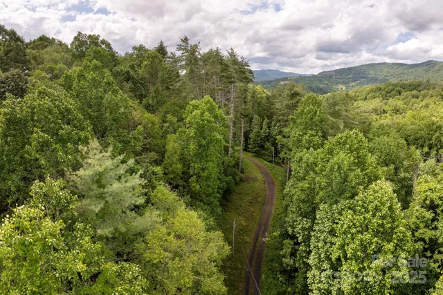 a view of a green yard with large trees