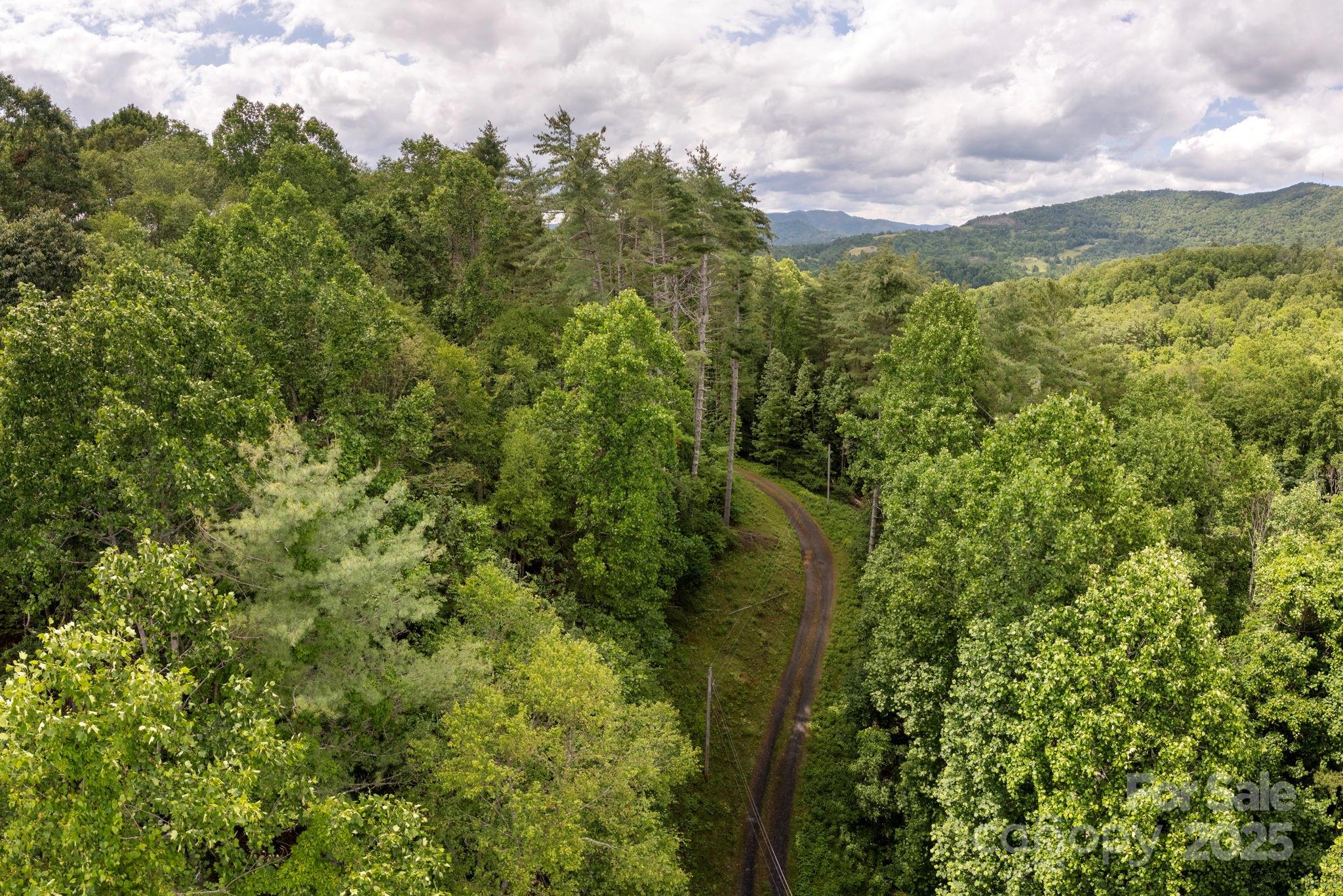 Tbd Tbd Carolina Keep Road Green Mountain, NC 28740 - Photo 12 of 14 a view of a green yard with large trees
