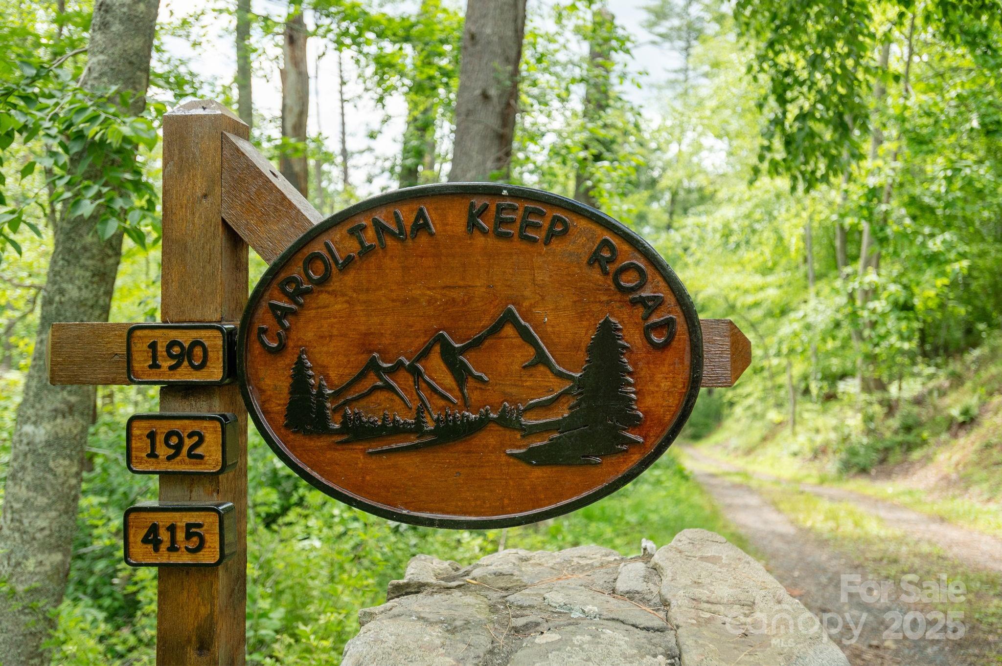 Tbd Tbd Carolina Keep Road Green Mountain, NC 28740 - Photo 13 of 14