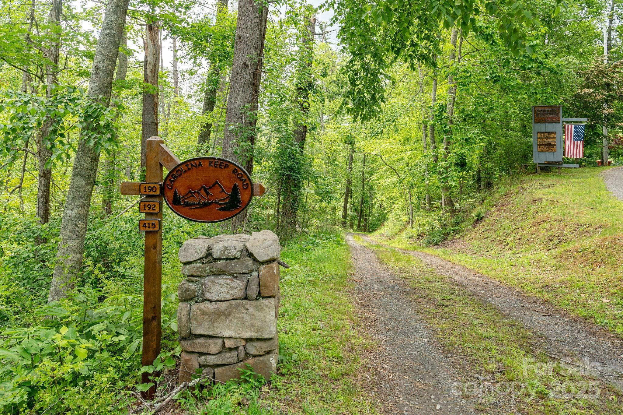Tbd Tbd Carolina Keep Road Green Mountain, NC 28740 - Photo 14 of 14 a view of a back yard