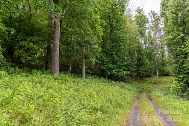 a view of outdoor space and a yard