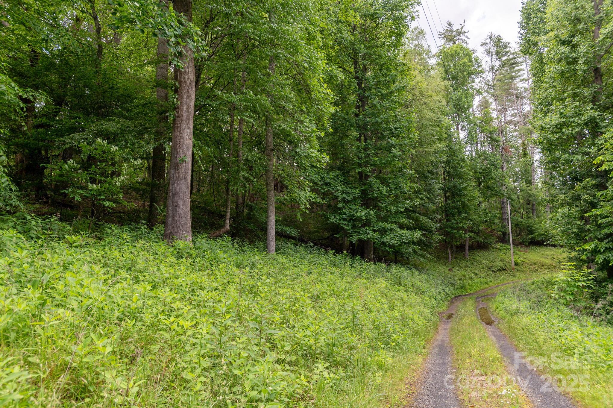 Tbd Tbd Carolina Keep Road Green Mountain, NC 28740 - Photo 6 of 14 a view of outdoor space and a yard