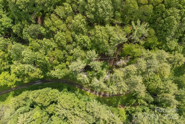 a view of a garden with a tree