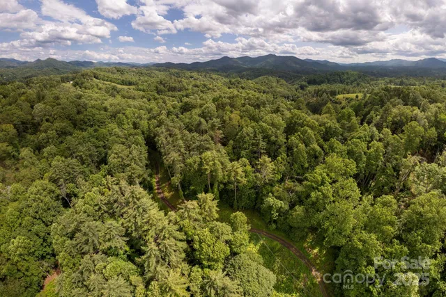 a view of a city with lush green forest