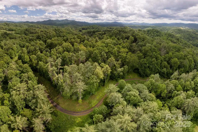 a view of a lush green field