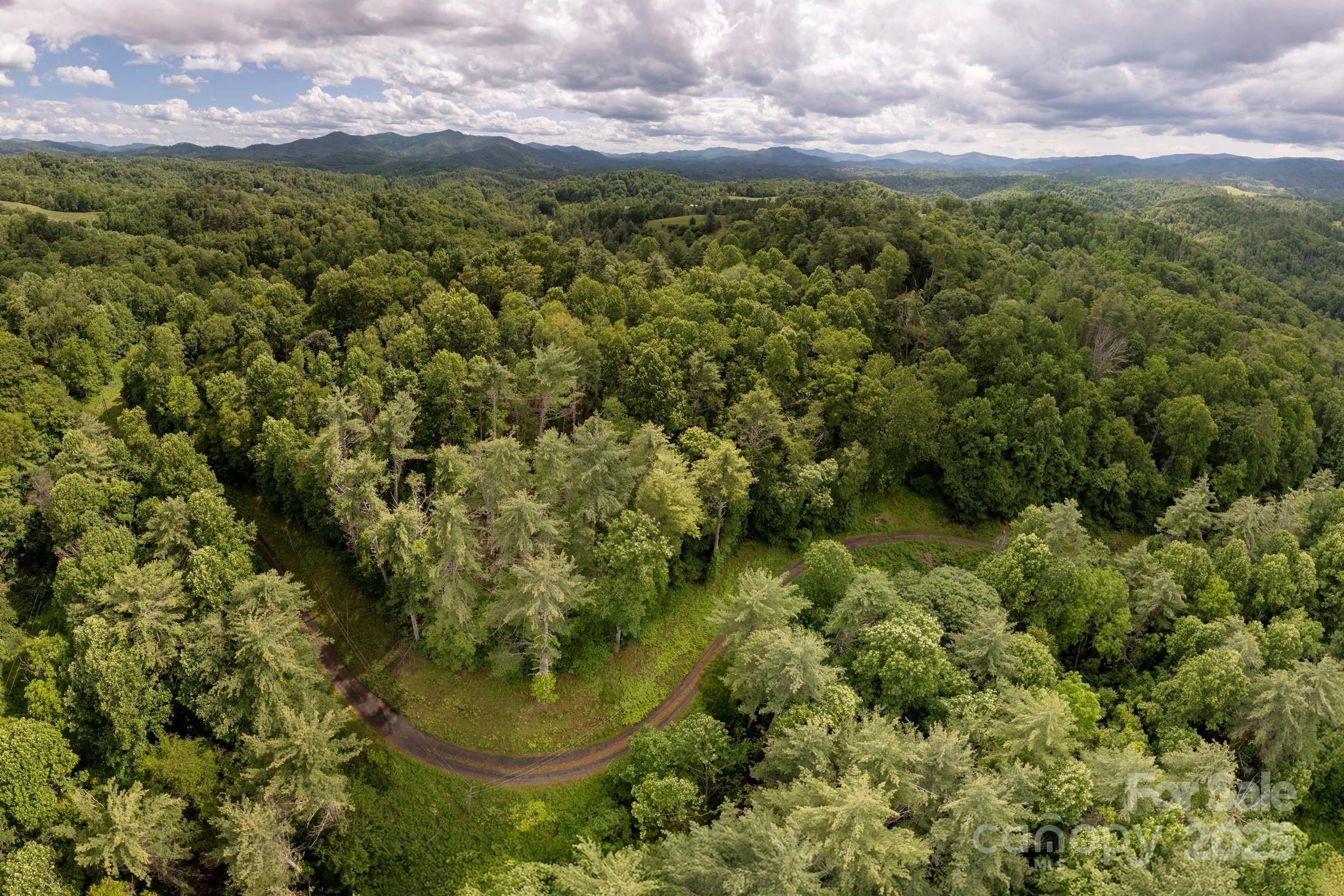 Tbd Tbd Carolina Keep Road Green Mountain, NC 28740 - Photo 10 of 14 a view of a lush green field