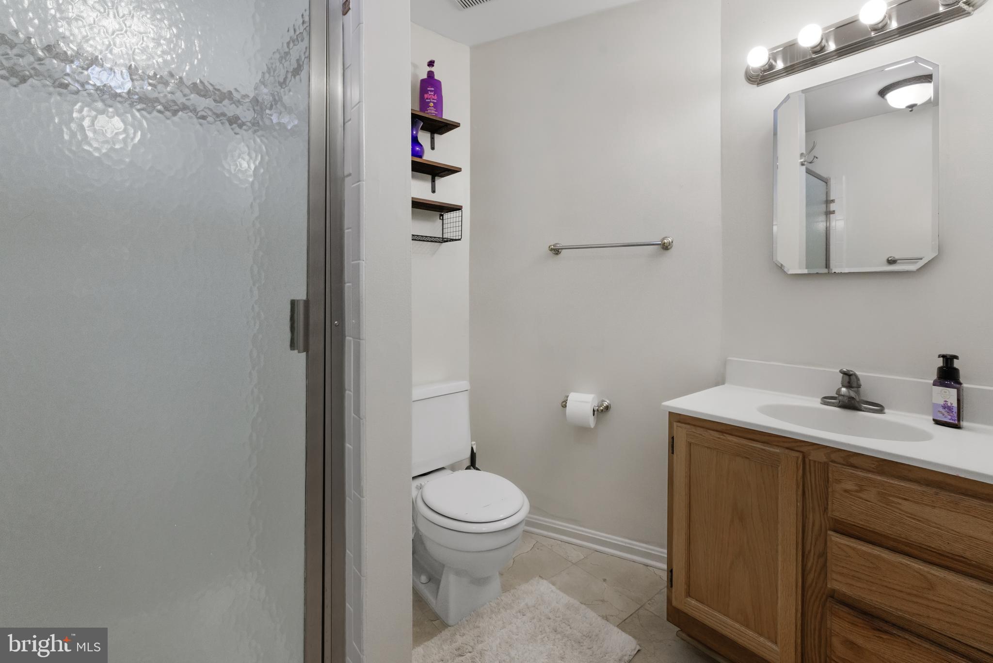 1729 Quietree Drive Reston, VA 20194 - Photo 10 of 22 a bathroom with a sink and a toilet