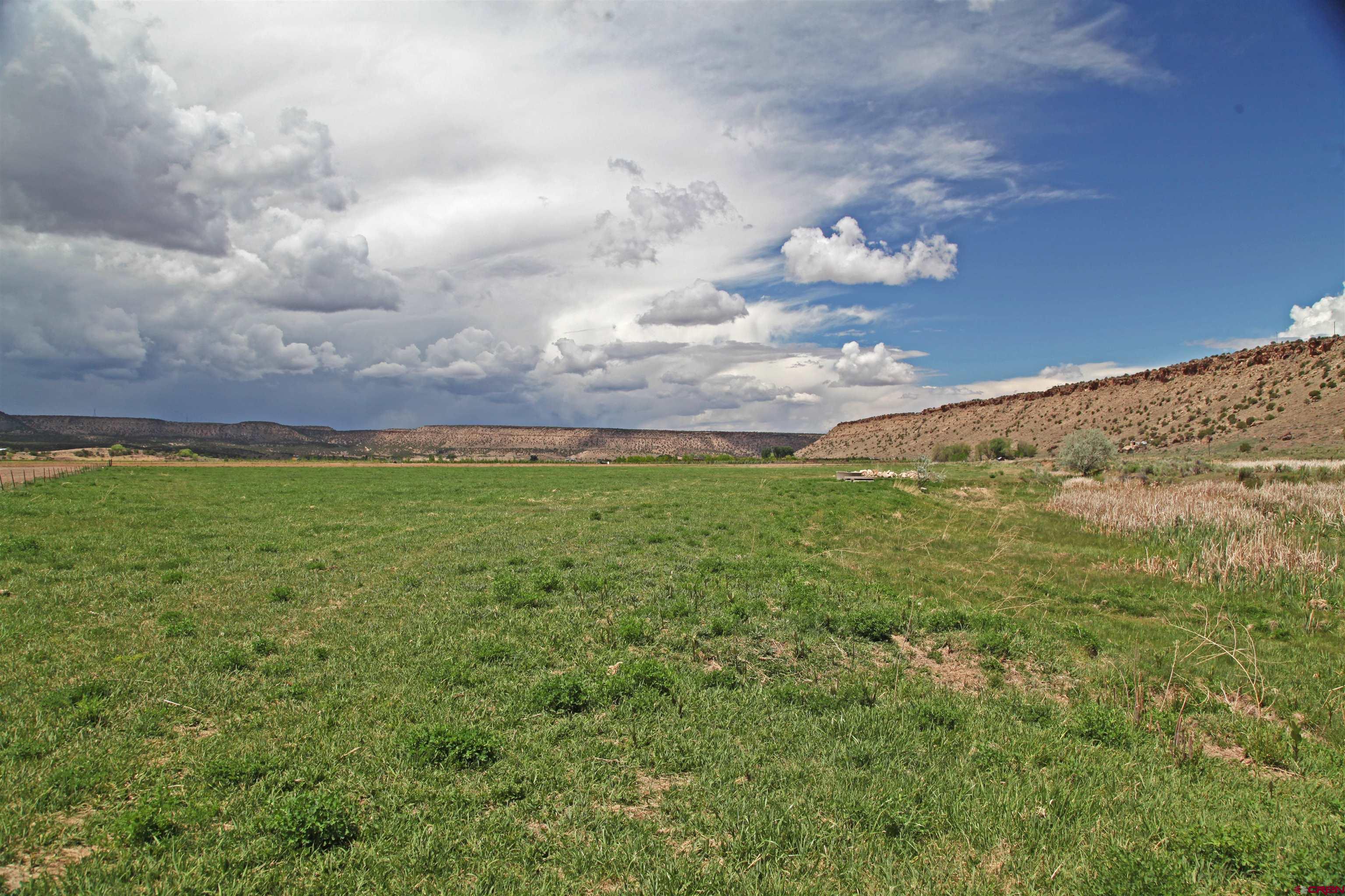 Tbd Lot 1 Shavano Valley Road Montrose, CO 81403 - Photo 3 of 4 a view of an outdoor space and yard
