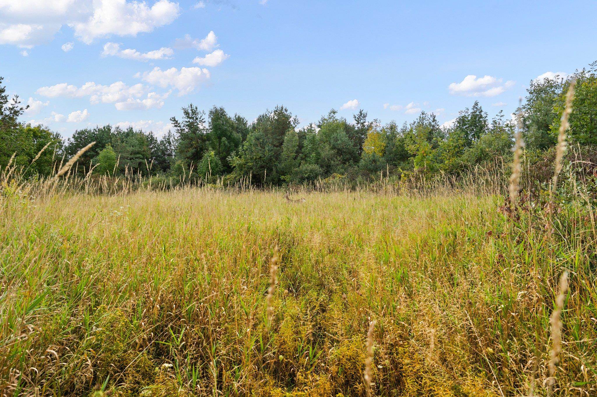Lot 5 Sutter Road, Unit LOT: 5 Kewadin, MI 49648 - Photo 28 of 41 Gallery Image 28