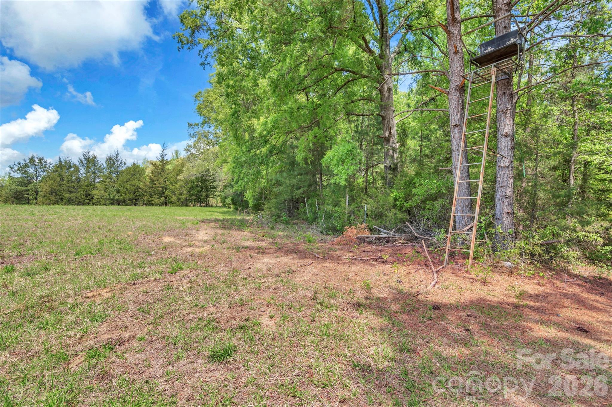 1958 Boyd Road Blackstock, SC 29014 - Photo 4 of 42