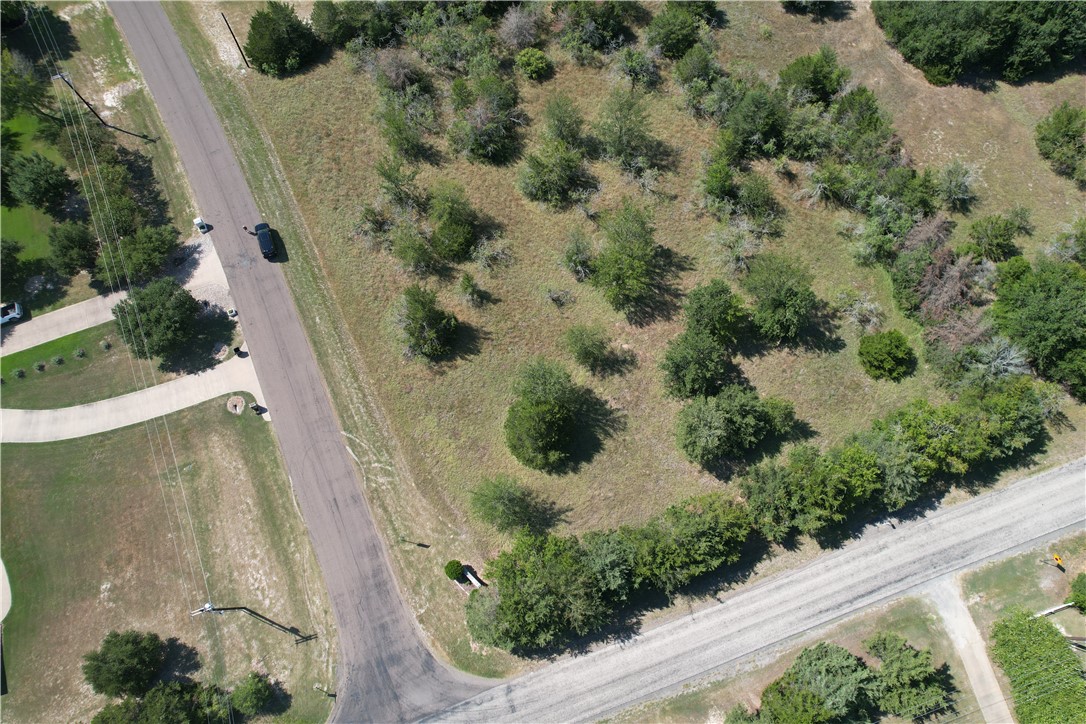 9373 Green Branch Loop Bryan, TX 77808 - Photo 2 of 11
