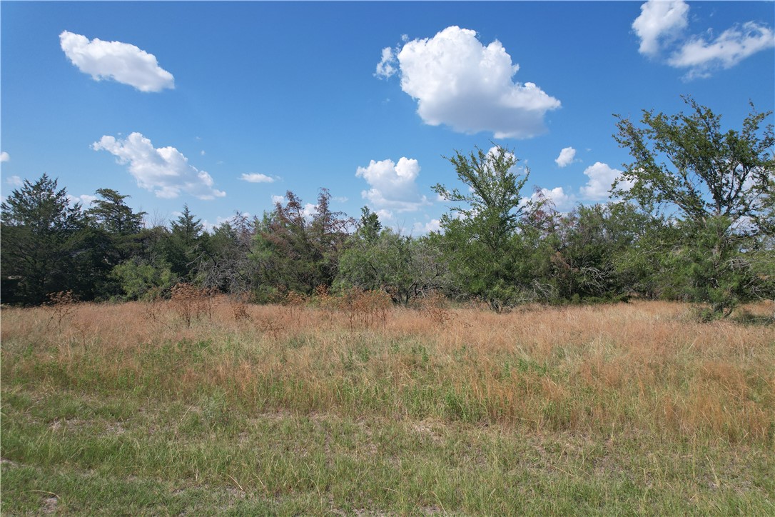 9373 Green Branch Loop Bryan, TX 77808 - Photo 3 of 11