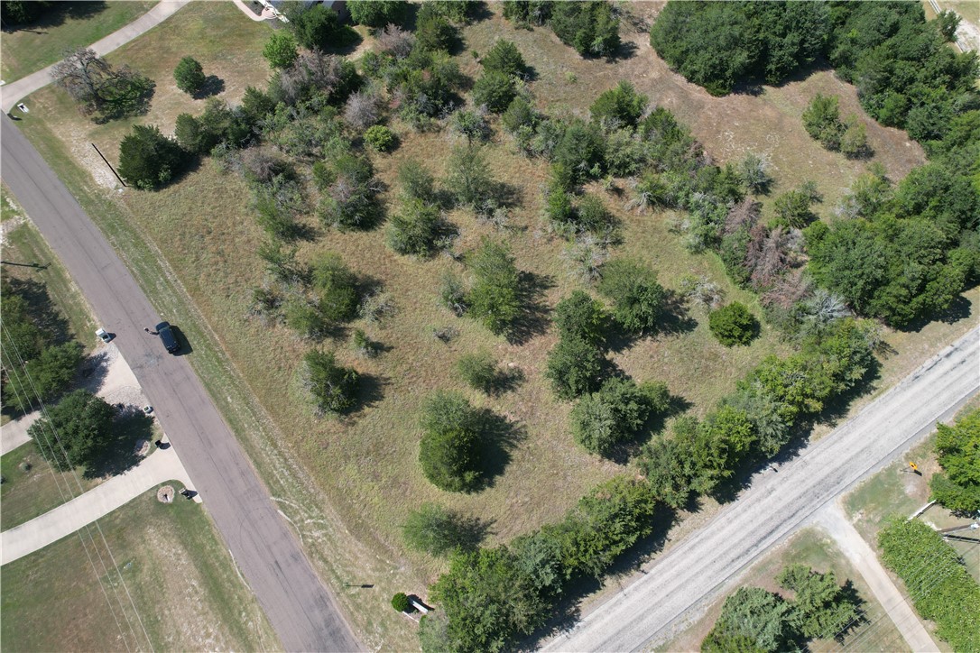 9373 Green Branch Loop Bryan, TX 77808 - Photo 4 of 11