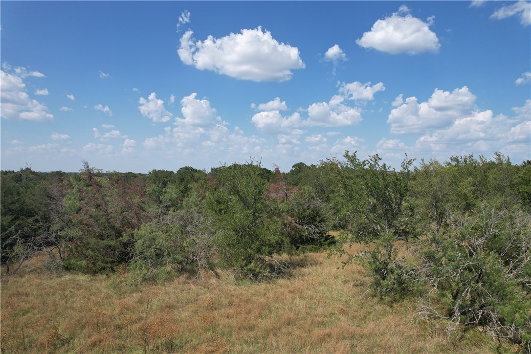 9373 Green Branch Loop Bryan, TX 77808 - Photo 5 of 11