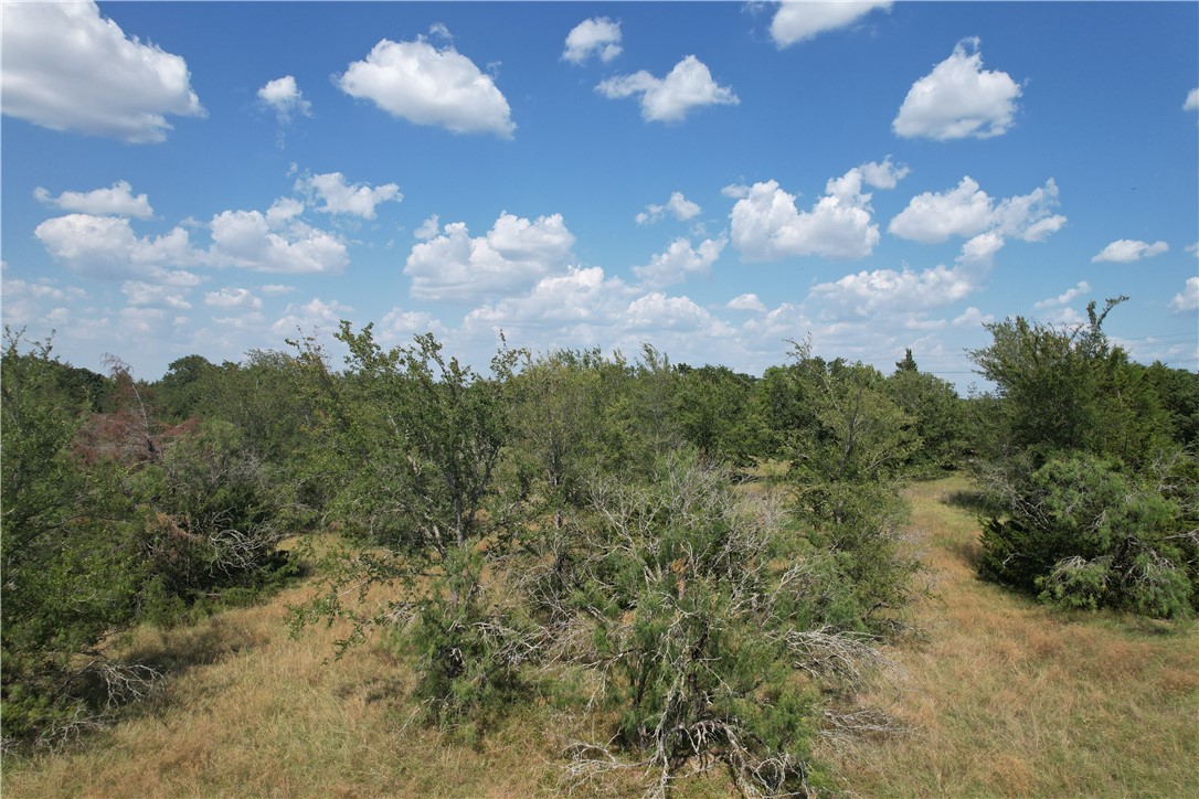 9373 Green Branch Loop Bryan, TX 77808 - Photo 6 of 11