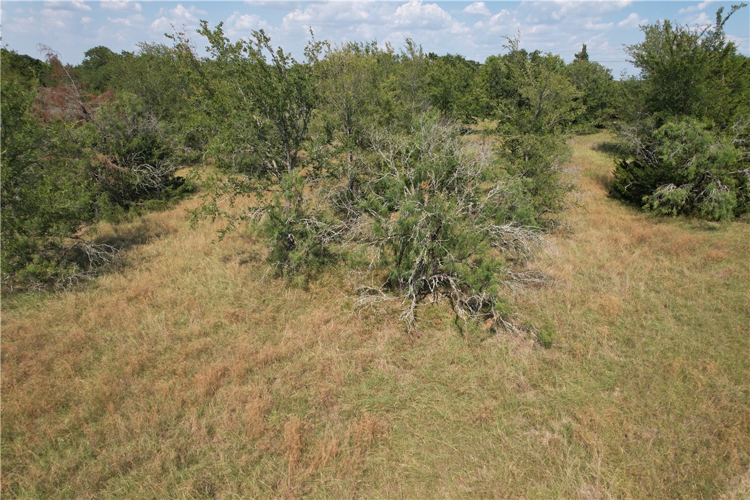 9373 Green Branch Loop Bryan, TX 77808 - Photo 8 of 11